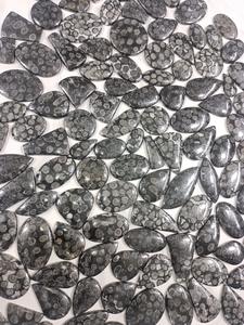 หินปะการังฟอสซิลธรรมชาติสีดำทรงไข่ลูกแพร์หลวมเรียบ Cabochon ส่งตรงจากโรงงานขายส่งร้านค้าออนไลน์ตอนนี้ - Product Image 3