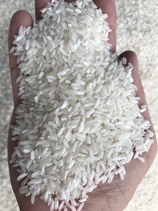 Riz blanc à grain long du Vietnam 5% 10% 15% 25% 100% sacs de riz blanc IR 64 cassés à bas prix de marché-Anna Do W/a + 84982153058 - Product Image 2
