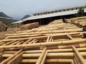 Nature Dry Straight Rattan Bamboo <b>Pole</b> Polished Rattan Manau Cane <b>Poles</b> Weave Cane Webbing Premium Quality - Product Image 5