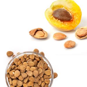 เมล็ดแอปริคอท | หุ้นจำนวนมากสำหรับหน่วยน้ำมันเชิงพาณิชย์ - Product Image 1