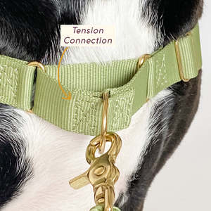 Produsen <span class=keywords><strong>Harness</strong></span> Hewan Peliharaan Sunraymascota, Desain Kustom <span class=keywords><strong>Harness</strong></span> dan Set Tali Leher Anjing, <span class=keywords><strong>Harness</strong></span> Anjing - Product Image 2