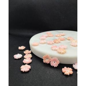 Cuentas Sueltas de Concha de Caracola Reina - Product Image 2