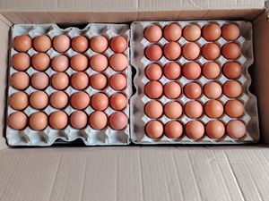 Fresh Brown Table <b>Eggs</b> /Chicken <b>Eggs</b>, Sell At Best Rate Farm Fresh Chicken Table Brown <b>Eggs</b> - Product Image 3