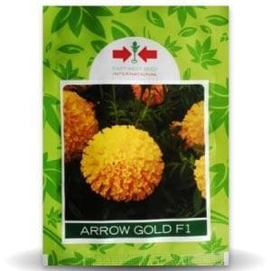 ARROW GOLD MARIGOLD Flores Secas de Primera Calidad, Producto Procesado - Product Image 2