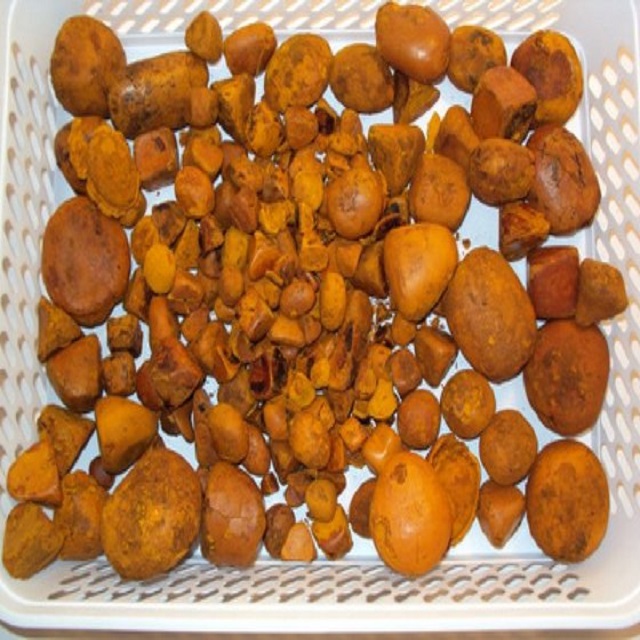 100% High Quality Dried Ox Cattle Gallstones Bile/ Bulk Supplier Best Animal Extract Product Cow Gallstones In Bulk