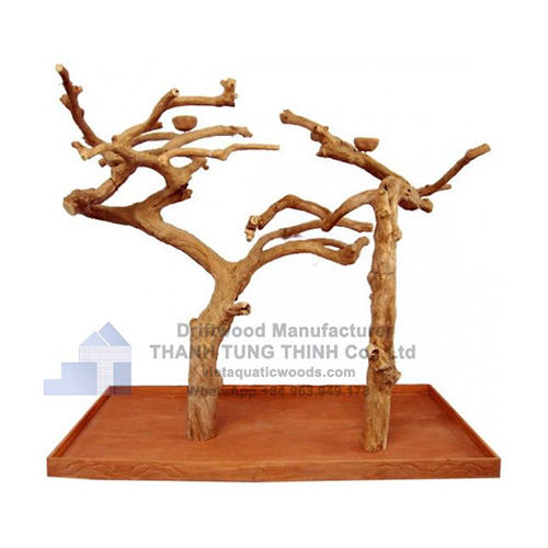 ธรรมชาติ