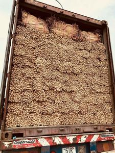 Corde de jacinthe d'eau Jacinthe d'eau brute séchée naturelle pour l'artisanat, les accessoires et la fabrication de meubles-M. Alex - Product Image 6