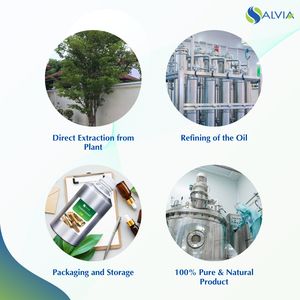 Vente en gros en vrac Huile de bois de gaïa 100% pure naturelle Emballage personnalisé Bouteille de 10ml pour massage Huiles essentielles liquides blanchissantes - Product Image 4