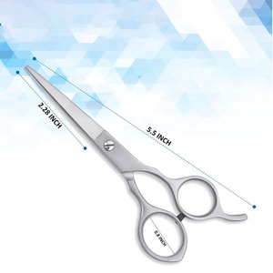 Tijeras Profesionales de Acero Inoxidable para Cortar el Cabello, 5.5 Pulgadas, Tijeras de Peluquería para un Estilizado Preciso - Product Image 1