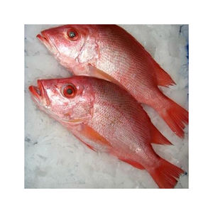 Venta al por mayor de mullet rojo del Mar Negro congelado, suministro a granel de pescado fresco asequible - Product Image 3