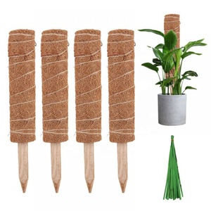 Upgrade Your Garden With Wholesale lowes moss pole - Alibaba.com