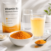 Poudre de Vitamine B2 Pure à 99% Riboflavine Qualité Alimentaire CAS 83-88-5 Matière Première pour Compléments Alimentaires Vente en Gros Approvisionnement Direct Usine
