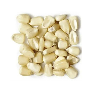 White maize for sale in large volumes trusted supplier best price - Product Image 2