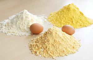 ผงไข่แดงและผงไข่ขาวแบบพ่นแห้งคุณภาพพรีเมียมสำหรับอุตสาหกรรมอาหาร - Product Image 2