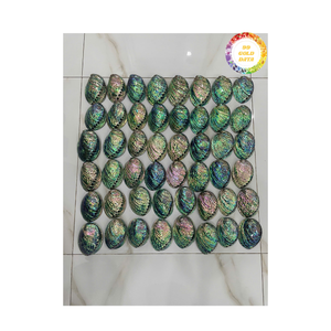 Concha de abulón Vietnam Material oceánico natural de alto grado para joyería decorativa con incrustaciones y mercado de exportación mayorista mundial - Product Image 5