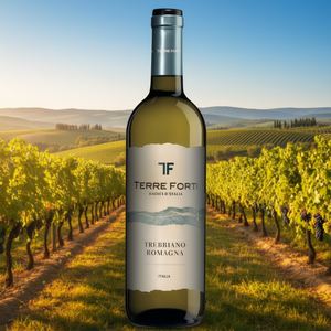 "Traditional Italian Trebbiano Romagna DOC White <b>Wine</b> 750ml Per Bottle 6 Bottles Per Box Made in Italy" - Product Image 3