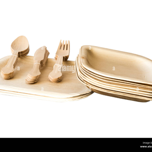 Assiette en bambou biologique naturel compostable écologique assiettes jetables de feuille de palmier de fête pour motif de plante de camping de mariage - Product Image 1