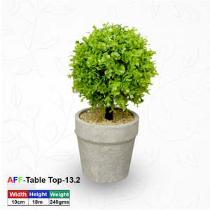 Artificial <b>Succulent</b> Boxwood Topiary Tabletop <b>Pot</b> - Product Image 2