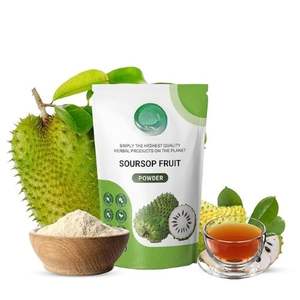 Vietnam Ho Chi Minh-Ville Usine En Gros Lyophilisé Soluble Dans L'eau Graviola Soursop Fruit Poudre EXPAD Marque 24 Mois De Conservation - Product Image 4