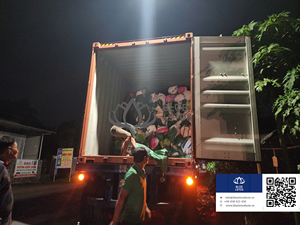 Palo de escoba de coco de ALTA CALIDAD Ideal para limpiar el patio del taller del área exterior y los alrededores del hogar Vietnam - Product Image 6