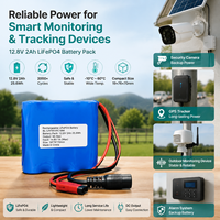 Batterie LiFePO4 12,8 V 2 Ah, pack de batteries au lithium rechargeable, personnalisé pour caméra de sécurité, traceur GPS, appareil IoT, OEM ODM