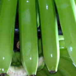 ¡Compradores globales de bananas Cavendish verdes frescas y ecológicas bienvenidos! - Product Image 1