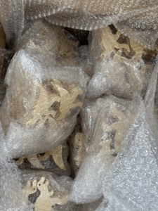 Cutouts, gấu, cáo, voi, thỏ, sóc, ngựa, tê giác, hình dạng cú rừng gỗ chưa hoàn thành - Product Image 6