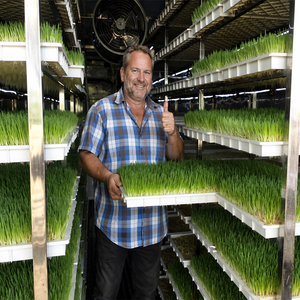 Contenedor Móvil Ecológico para Forraje Verde con Rápido Retorno de la Inversión para Agricultura Sostenible y Proyectos de Ganadería Moderna - Product Image 2