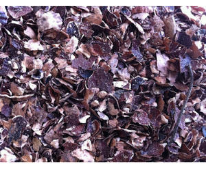 Précommandez des aliments pour animaux à des prix préférentiels 100% naturels. - Product Image 5