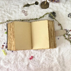 400หน้าหนังสือคาถาเปล่าขนาดใหญ่ของเงาลูน่าผีเสื้อกลางคืนอุปกรณ์ตกแต่งผีเสื้อกลางคืนและของขวัญผีเสื้อมอร์ฟีสำหรับเขา - Product Image 6