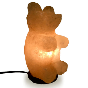 Ensemble de lampes en sel de l'Himalaya en forme d'animal en matériau organique, avec cordon électrique et ampoule, artisanat naturel, emballage inclus - Product Image 3