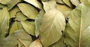 Ziziphus Spina-Christi (ใบแห้ง Sidr) การแปรรูป99% เกรดพรีเมี่ยมความบริสุทธิ์สำหรับการบริโภคของมนุษย์ - Product Image 2