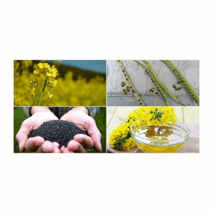 Huile de canola légère, saine, pure et abordable pour toutes les utilisations - Product Image 5