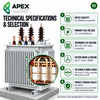 Transformateur de distribution immergé dans l'huile APEX S13-M 630-1600 kVA 11 kV/400-415 V à cuve corruguée pour sous-station de centre de données IEC 60076