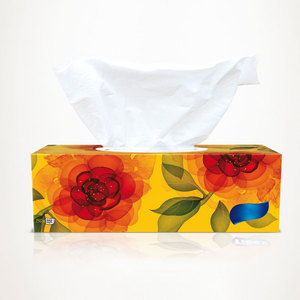 Fabricant de boîtes de papier hygiénique Boîte de cuisine Mouchoirs en papier Vente en gros Logo personnalisé Emballage de papier de soie en boîte de qualité supérieure - Product Image 6