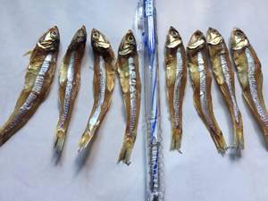 ปลากะตักตากแห้งแบบพรีเมี่ยมสำหรับร้านค้าปลีกและผู้นำเข้า - Product Image 6