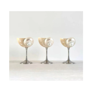 Vasos de concha marina con base de concha natural y taza de vidrio liso, hechos en Vietnam para vasos de playa - Product Image 5