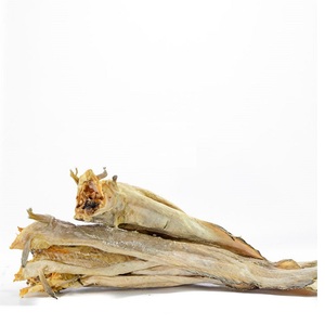 Stockfish of Tusk | Stockfish noruego (bacalao redondo, 50-70cm de largo): Paquete de distribuidor de 100 libras (40-50 Stockfish grande, sin cortar) - Product Image 5