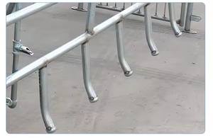 Nuevas Jaulas de Gestación ZHONGNUO ZN-250 para Cerdos y Cerdas con Corral de Gestación, 1 Año de Garantía, 880 kg de Peso, Origen XINXIANG - Product Image 5