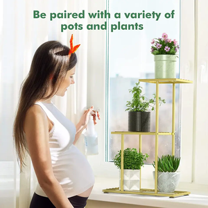 Design personnalisé pots de fleurs en métal et fer fabriqués à la main pot de fleurs de jardin avec support fabricant d'intérieur usine indienne - Product Image 6