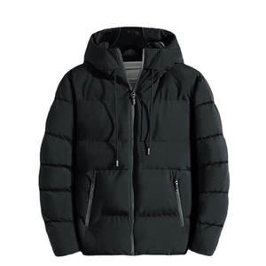 2023 hiver chaud épais Polyester ouate veste en plein air randonnée personnalisé en gros support haute rue bouffantes vestes hommes polaire - Product Image 1