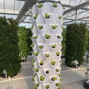 Sistemas de Cultivo Vertical Hidropónico y Torre Aeropónica para Cultivo Comercial de Plantas en Interiores - Product Image 5