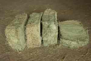 Heno de hierba Rhodes de alta calidad, alimento nutritivo para animales para cerdos sanos, caballos de ganado - Product Image 2