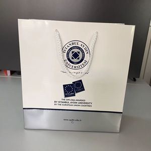 Sacs de shopping en papier écologiques et recyclables Eurotote de luxe personnalisés avec impression offset et logo personnalisé pour les entreprises de vente au détail - Product Image 1