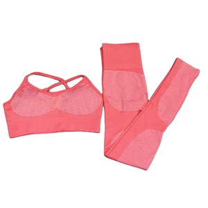 New 2-Piece Seamless Workout Set for Women-Sports Bra & Leggings Eco-Friendly Breathable Gym Clothing - Product Image 3