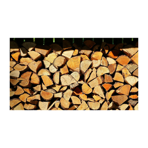 Bois de chauffage de charme disponible en volume distribution en gros expédition rapide de haute qualité - Product Image 6