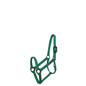 Halters réglables équestres extérieurs professionnels de haute qualité personnalisation multicolore bride de cheval acceptée - Product Image 1