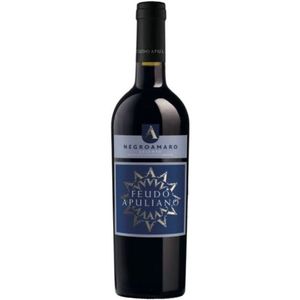 Feudo Apuliano Negroamaro Salento IGP Bold Mediterranean 750ml Red <b>Wine</b> 6 Bottles Per Box - Product Image 1