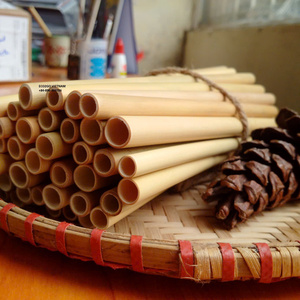 Juego de pajitas de bambú reutilizables ecológicas con logotipo personalizado de Eco2go Vietnam, Pajita de viaje antibacteriana - Product Image 2