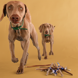 Barritas de Carne de Res Orgánica de 12 Pulgadas, Deshidratadas, Golosinas Masticables para Perros, Altas en Proteínas, con Sabor a Vegetales, Seguras para Gatos - Product Image 3
